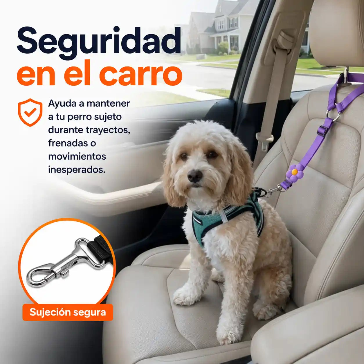 PawGo® Cinturón de seguridad y correa ajustables 2 en 1 para perros
