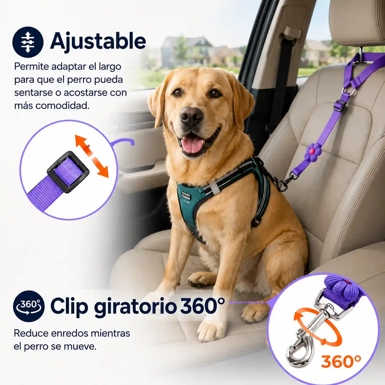 PawGo® Cinturón de seguridad y correa ajustables 2 en 1 para perros