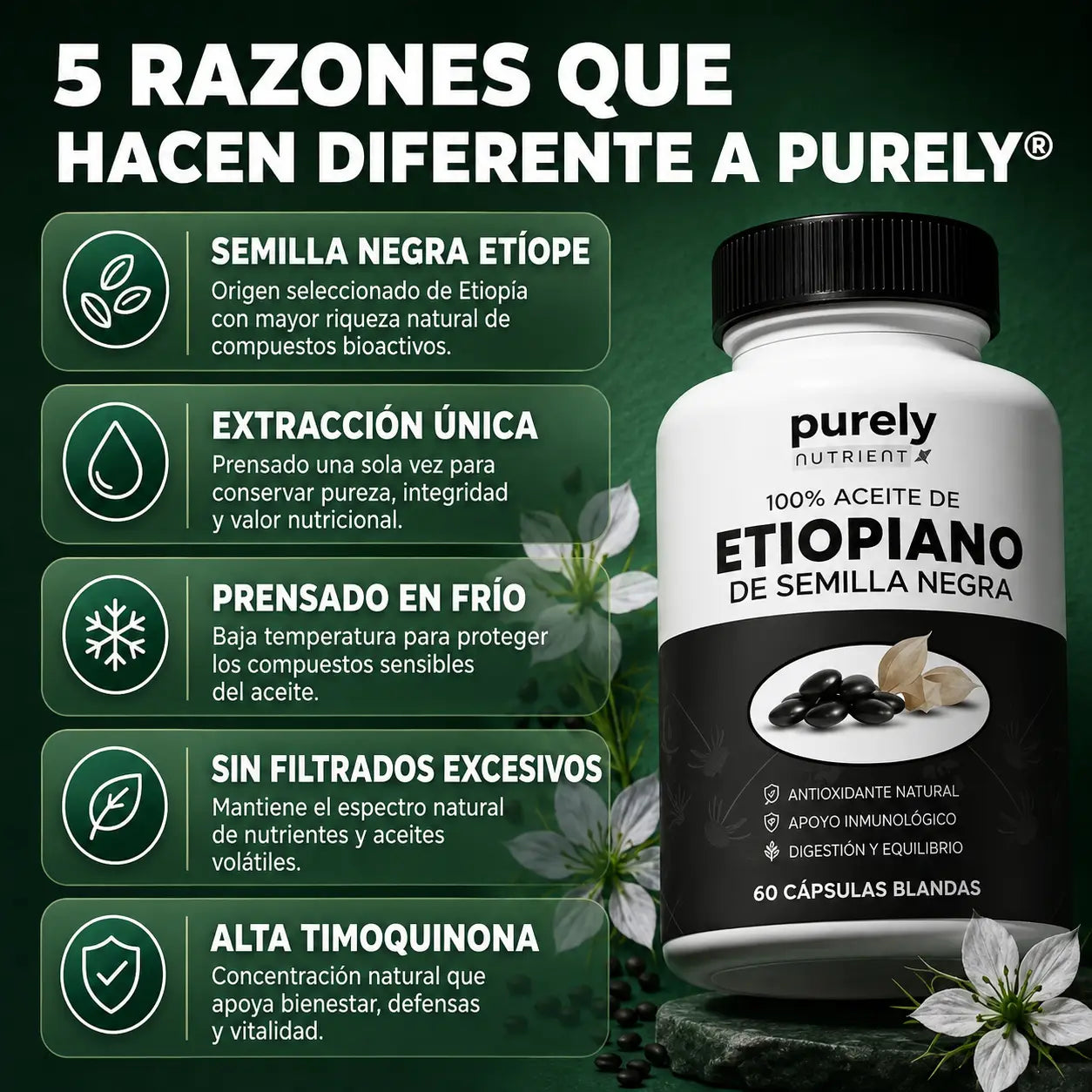 PURELY® Aceite de Semilla Negra Etíope | Digestión, Defensas y Bienestar Diario