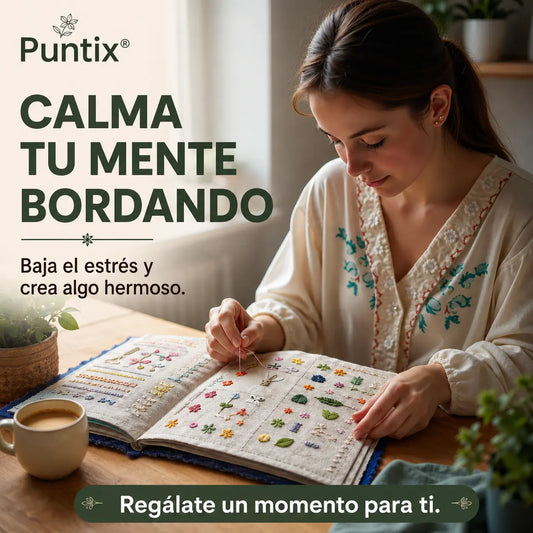 Puntix® Libro Aprende bordado puntada por puntada