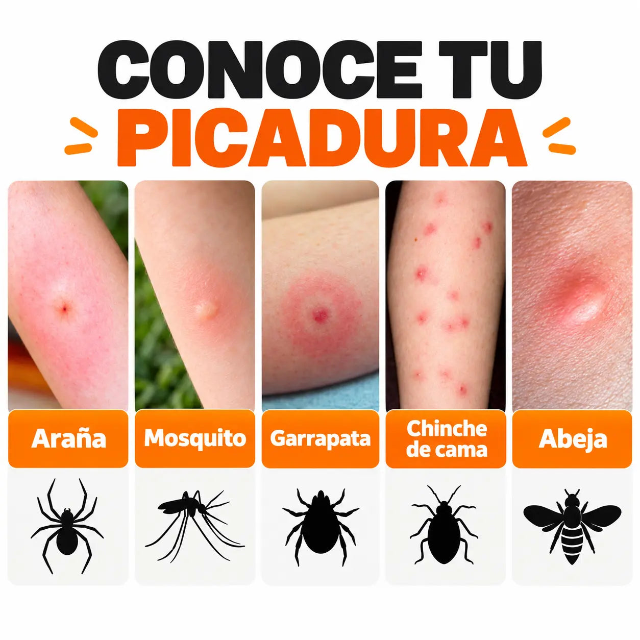 PICAVEX® Herramienta de Succión para Picaduras de Mosquitos e Insectos