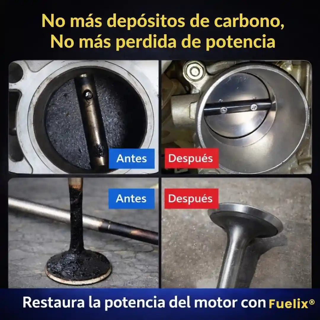 Fuelix® Tratamiento de gasolina Motos Aditivo Para Cámara de Combustible