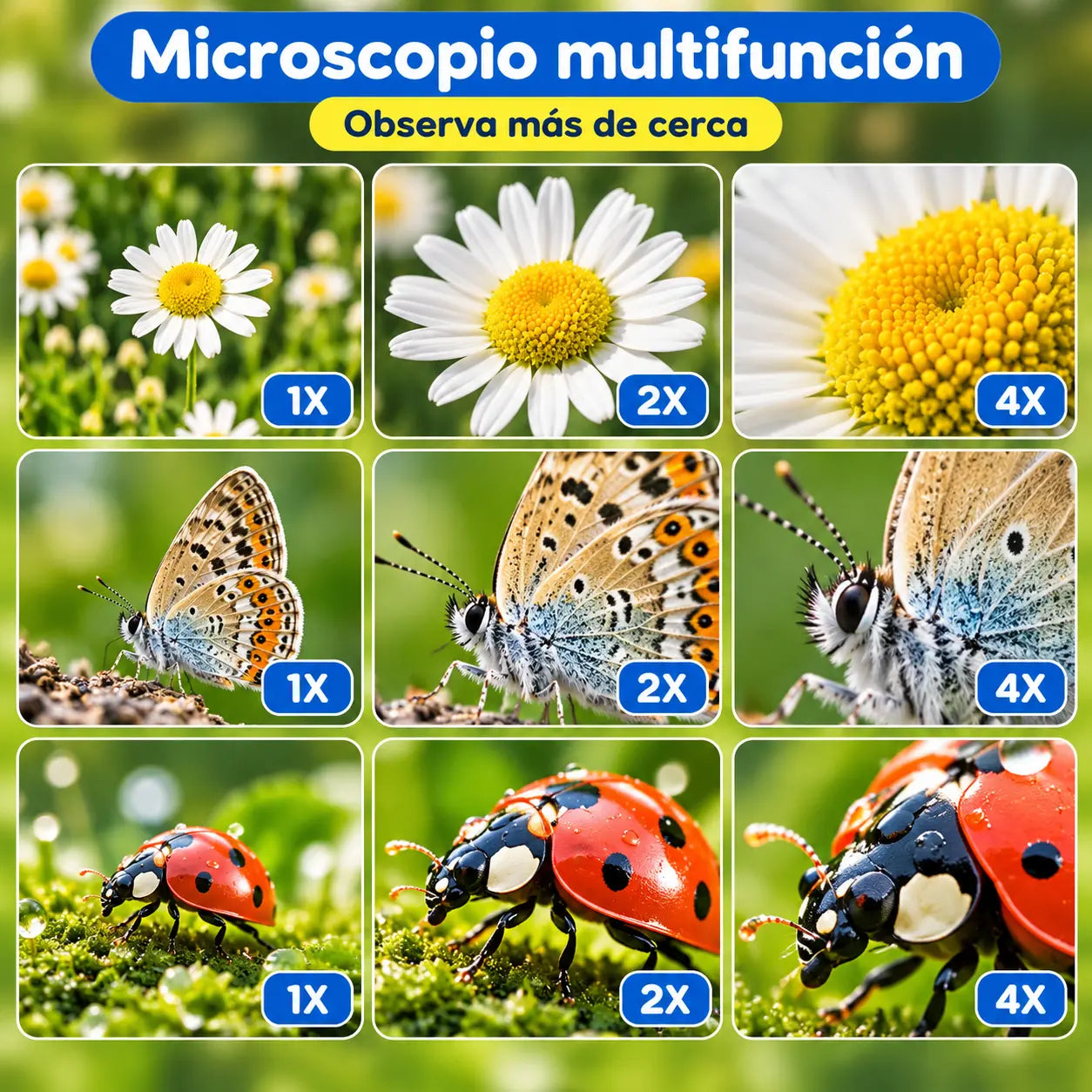 EXPLORIX® Microscopio de vídeo digital infantil con pantalla
