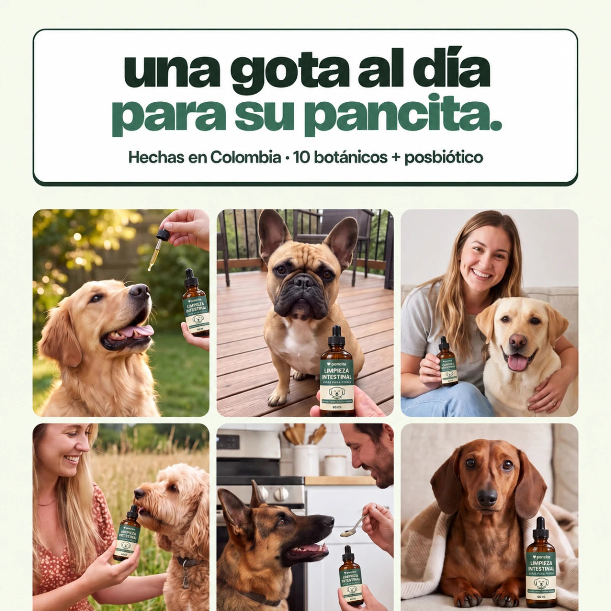 Gotas Pancita de limpieza intestinal para perros – imagen 8